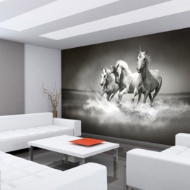 Fotobehang poster 1016 dieren paarden unicorn eenhoorn witte paarden zwart wit