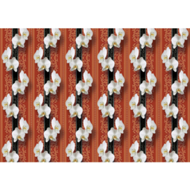 Fotobehang poster 0345 bloemen witte orchidee op rood behang motief
