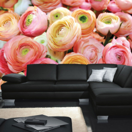 Fotobehang poster 0678 rozen roze bloemen