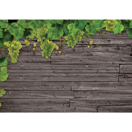 Fotobehang poster 1631 hout grijs planten groen