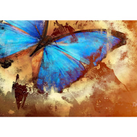 Fotobehang poster 3559 dieren vlinder insect blauw