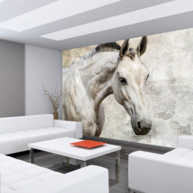 Fotobehang 2206 Paard 208 x 146