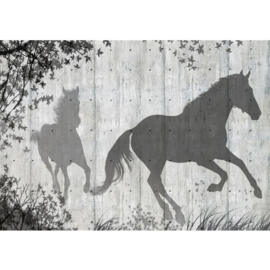 Fotobehang poster 0916 hout paarden grijs