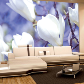 Fotobehang poster 2883 bloemen magnolia wit