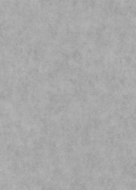 10473-10 uni effen grijs glitter