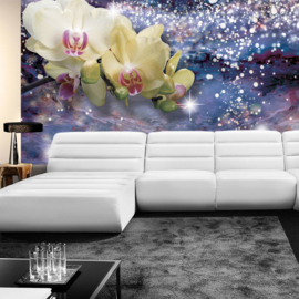 Fotobehang poster 1763 orchidee water blauw bloemen