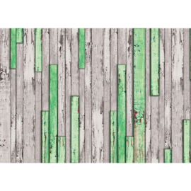 Fotobehang poster 1269 hout planken grijs groen