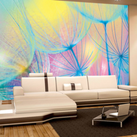 Fotobehang poster 1071 bloemen paardenbloem multicolor