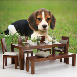Fotobehang poster 4498 dieren hond beagle puppy