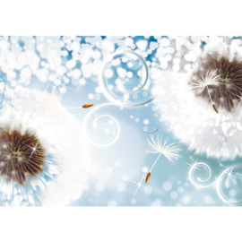 Fotobehang poster 1651 paardenbloemen lucht blauw bloemen planten