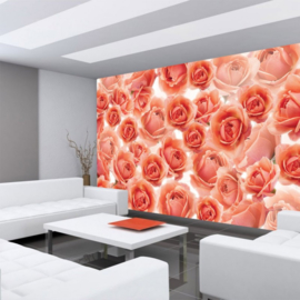 Fotobehang 959 rozen zalm roze bloem 350 x 245