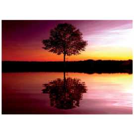 Fotobehang poster 1102 natuur bomen reflectie in water weerspiegeling avondrood
