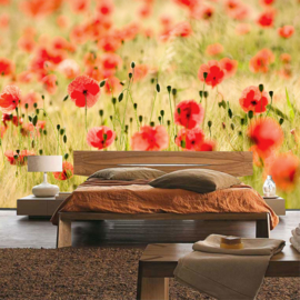 Fotobehang poster 0070 bloemen papaver bloemenveld