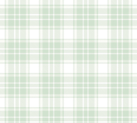 AS 381222 ruit licht groen