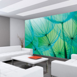 Fotobehang poster 1074 bloemen paardenbloem aqua blauw
