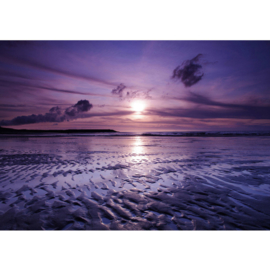 Fotobehang poster 0310 strand wadden wad eb zonsondergang
