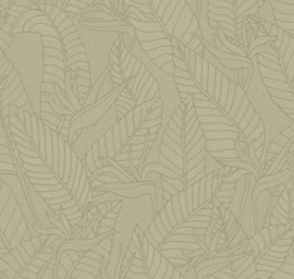 60740 Strelitzia blad groen olive