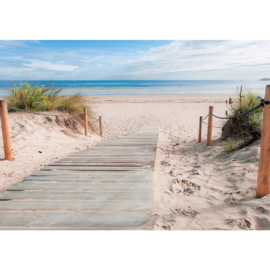 Fotobehang poster 2364 strand duinen zee natuur