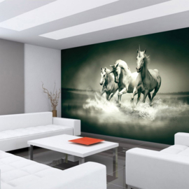 Fotobehang poster 1018 dieren eenhoorn paarden unicorn grijs