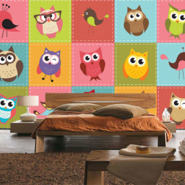 Fotobehang poster 2090 kinderkamer uil vogels patchwork