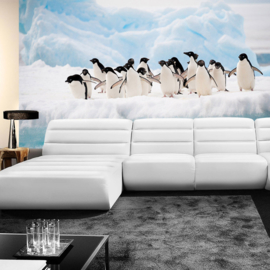Fotobehang poster 2015 pinguin dieren ijs antartica pool