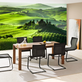 Fotobehang poster 0068 natuur uitzicht toscane groen landschap