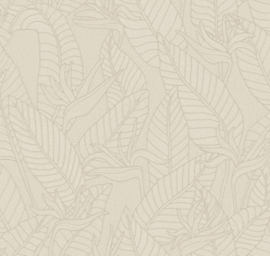 60744 Srelitzia licht grijs blad porcelain