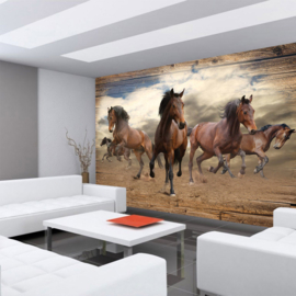 Fotobehang poster 3221 dieren paarden bruin paard