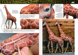 LS14-AK518 Painting Animal Figures (English version)