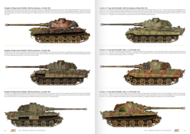 AK916 1944 GERMAN ARMOUR IN NORMANDY – CAMOUFLAGE PROFILE GUIDE