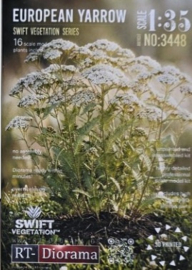 RT35448  1:35 RT-Diorama European Yarrow 16 plants