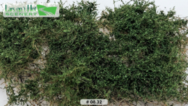 LOP0832 Thorn bushes - dark green