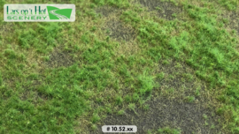LOP1052 Pasture with soil spring - short (18.5cm x 26.5cm)