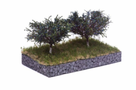 HB2317 Plum tree 7cm  (2 pieces 6-10cm)