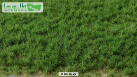 LOP0316 Grass tufts pasture spring - long