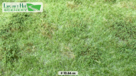 LOP1066 Pasture with Weeds summer (18.5x26.5cm)