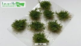 LOP0434 Individual shrubs Dark Green type 4