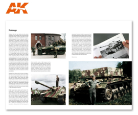 AK403 1945 GERMAN COLORS. CAMOUFLAGE PROFILE GUIDE