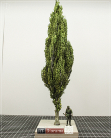 RT35331 1:35 RT-Diorama Poplar Tree No.3 [400mm]