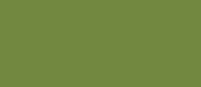 UA115 	LifeColor Mimetic Green 1 (22ml) FS 34258