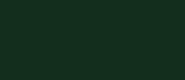 UA078 LifeColor Dark Green (22ml) FS 34077