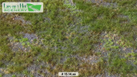 LOP1514m Forest floor - type 1 29cm x 38cm