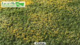 LOP1124 Meadow with flowers summer