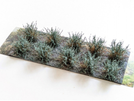 WB156871 SDS Shrubs Sage green 10 pieces (20-30 mm)