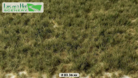 LOP0336 Grass tufts pasture autumn - long