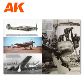 AK290 REAL COLORS OF WWII for AIRCRAFT