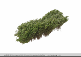 HB5016 Blooming white / shrubbery (7cm long 3-4cm high)
