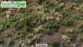 LOP1354 Meadow summer arid