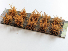 WB156870 SDRB Shrubs Rawhide Brown 10 pieces (20-30 mm)