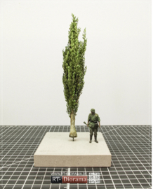 RT35329 1:35 RT-Diorama Poplar Tree No.1 [200 mm]